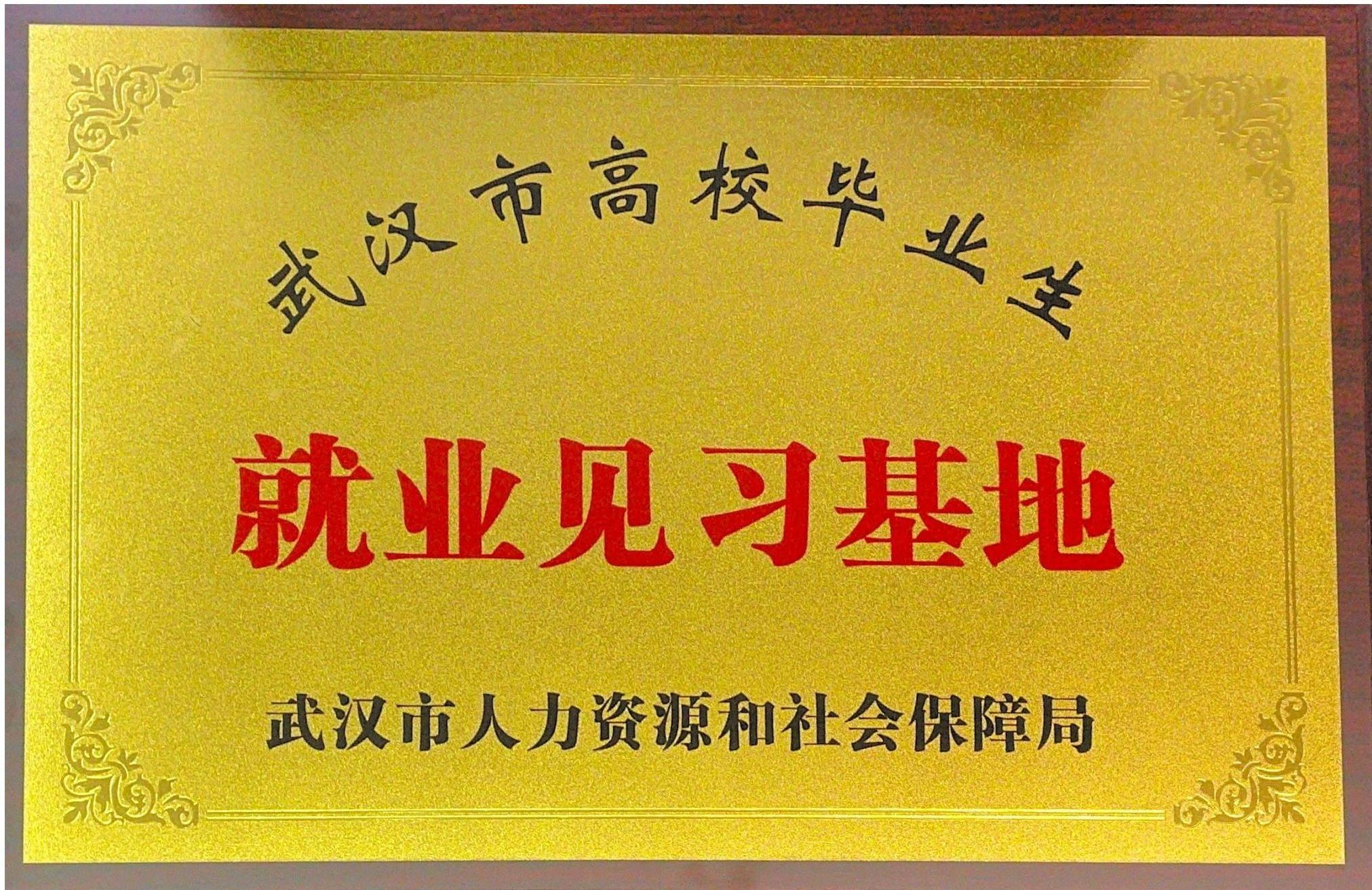 武漢市高校畢業生就業見習基地.png
